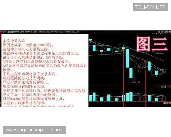 bg真人游戏走势预测与投资者应把握的关键时机指南