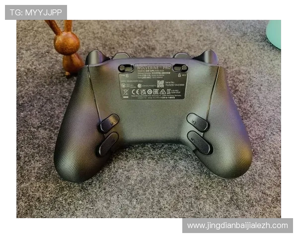 利用AG视讯网游的专业评测与攻略指南，轻松破解游戏难题提升你的竞技水平