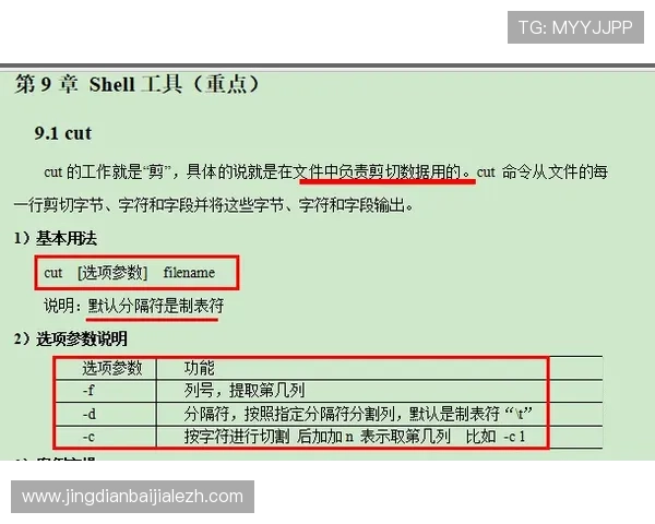 ag真人网登录线路常见问题及解决方案详解助你轻松应对