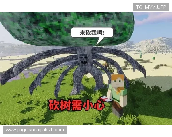 天博真人平台的游戏种类丰富多样满足不同玩家的多样需求